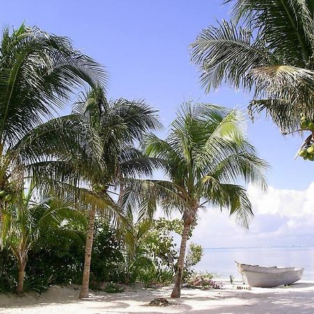 Marysol Beachfront Next To Nomads D6 Isla Mujeres Exterior photo