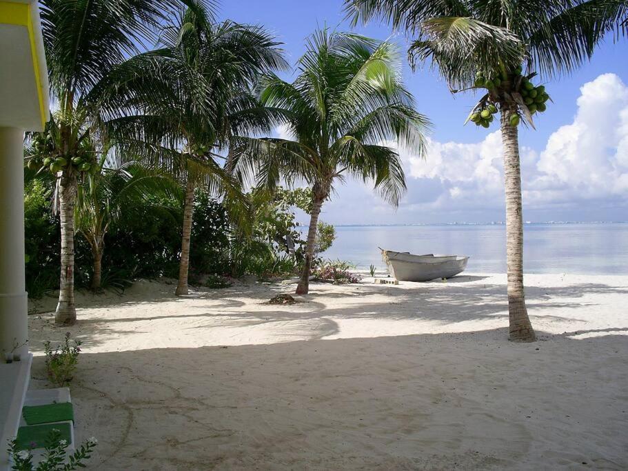 Marysol Beachfront Next To Nomads D6 Isla Mujeres Exterior photo