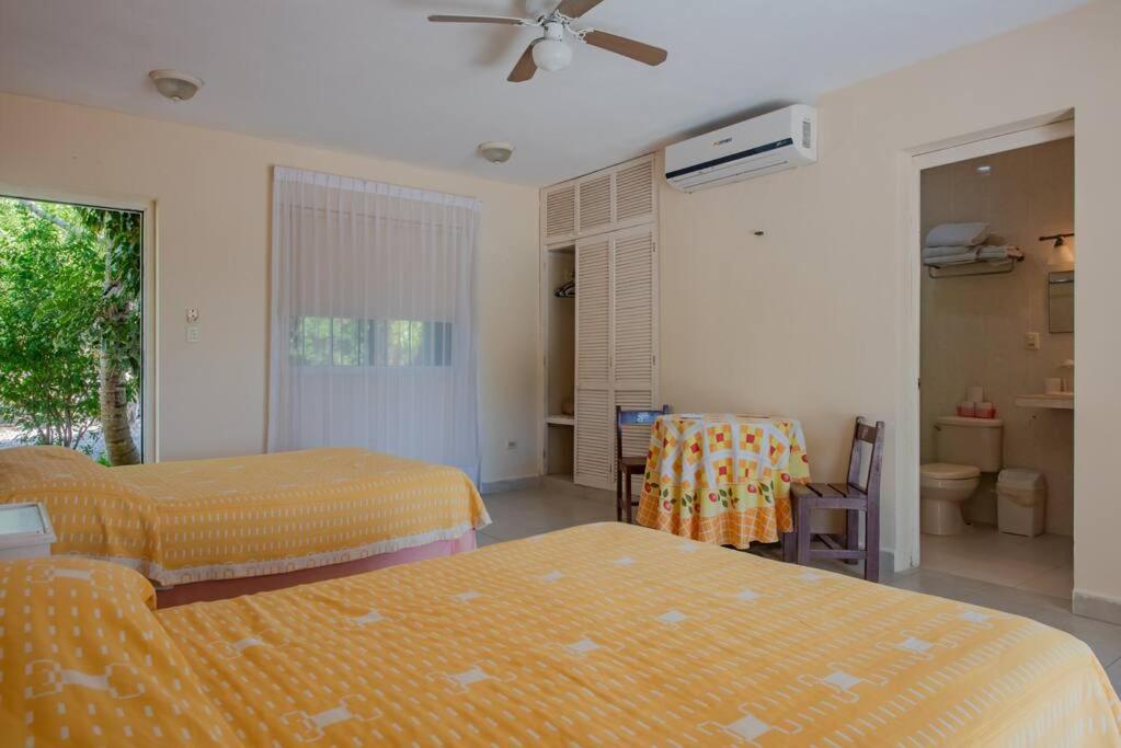 Marysol Beachfront Next To Nomads D6 Isla Mujeres Exterior photo