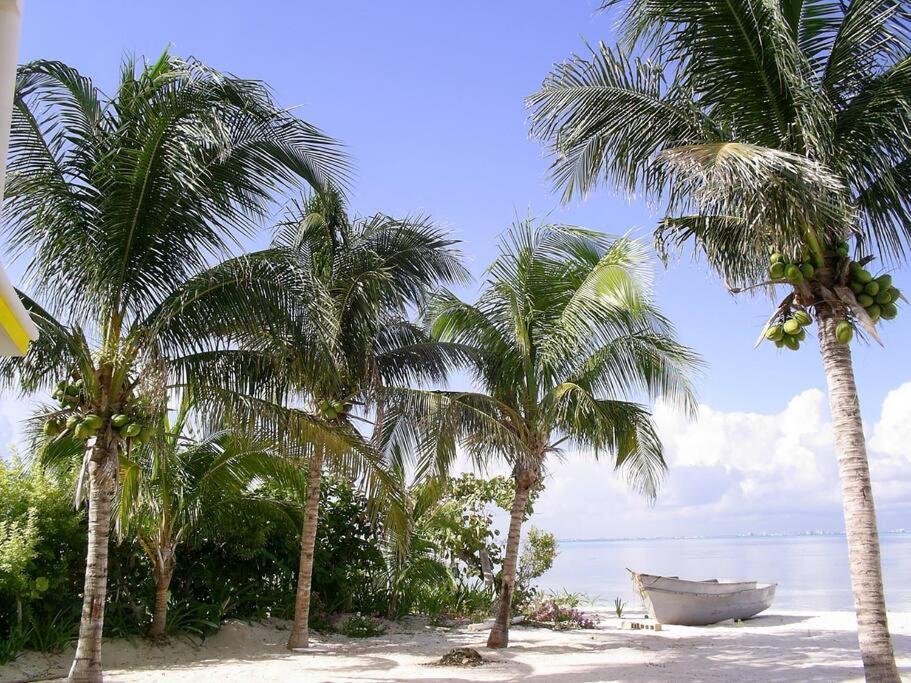 Marysol Beachfront Next To Nomads D6 Isla Mujeres Exterior photo